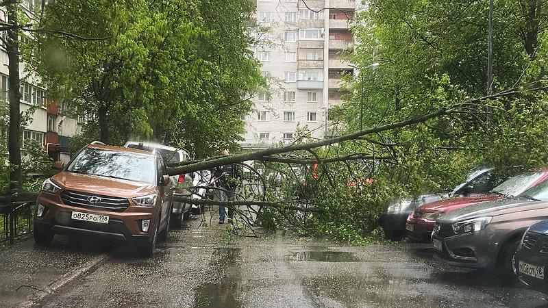 Фото: vk.com/shuvalovo_ozerki