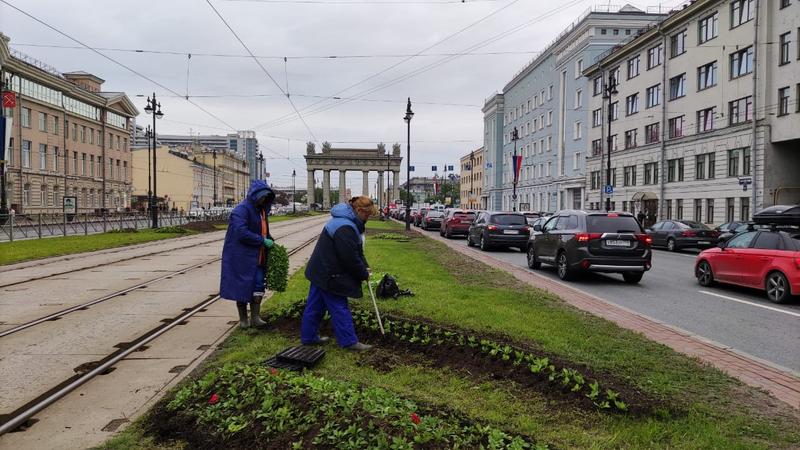 Фото: пресс-служба комитета по благоустройству Петербурга