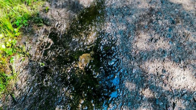 Фото: пресс-служба СПб ГУП 