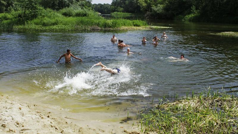 Почему нельзя купаться в озере. Роспотребнадзор водоемы Петербург. Почему нельзя купаться на косе. Почему нельзя купаться 12 июня. Купаемся на косе Волги.