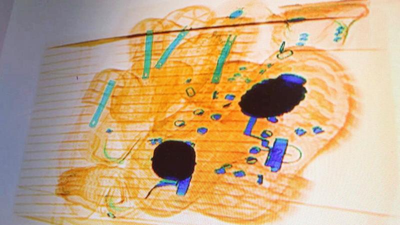 Фото: ГУ Росгвардии по Санкт-Петербургу и Ленинградской области