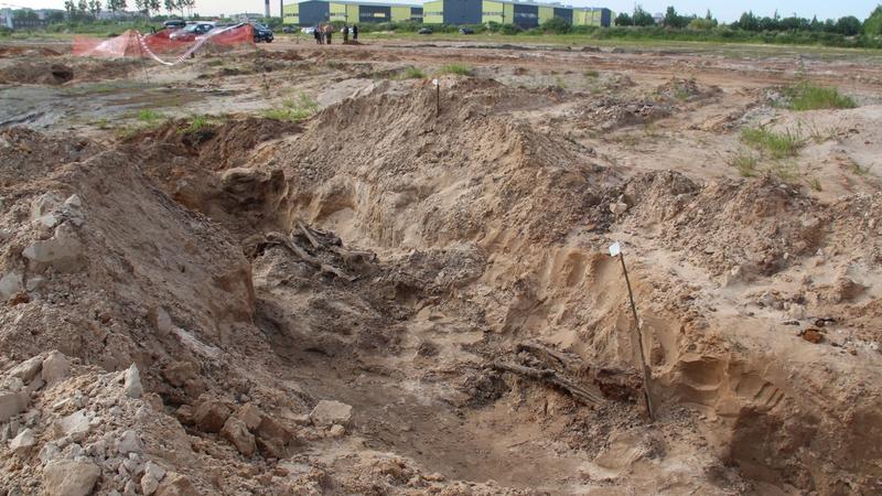 Фото: пресс-служба отрядов Санкт-Петербурга и Ленинградской области