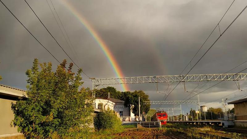Фото: vk.com/Ольга Овчинникова