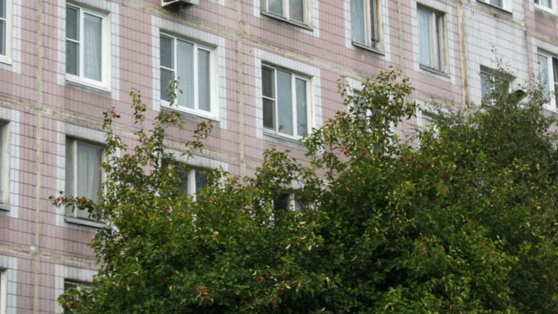 В Гатчине выпала из окна. Ребенок в Гатчине выпал из окна. Девочка выпала из окна в Гатчине. В Гатчине девушка выпала из окна фото.