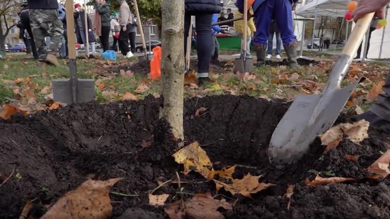 Фото: пресс-служба комитета по благоустройству Санкт-Петербурга