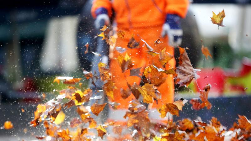 Фото: Roland Weihrauch/globallookpress.com