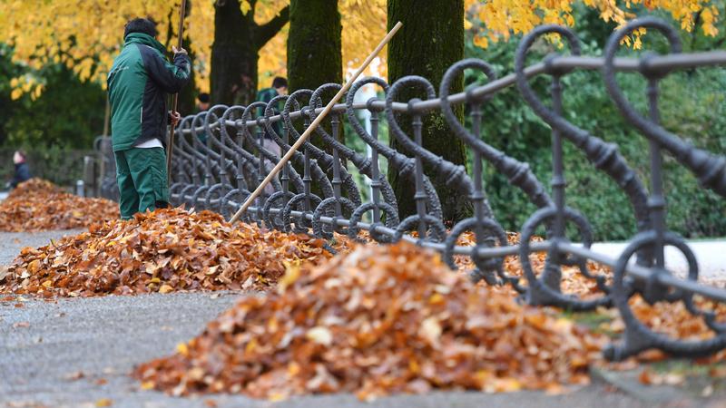 Фото: Frank Hoermann/SVEN SIMON/globallookpress.com