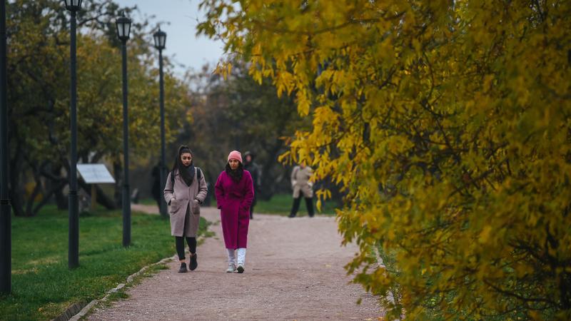 10 знаменитостей, которые чаще всех ругаются матом