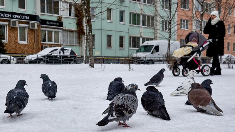Фото: Mihail Siergiejevicz/globallookpress.com