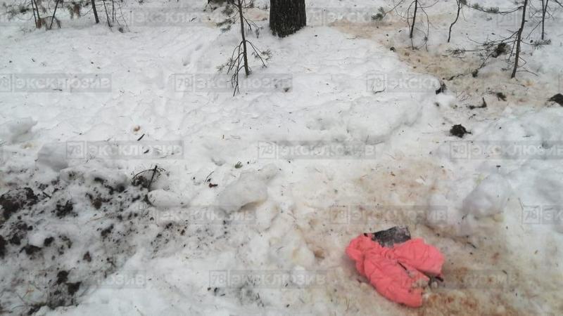 Горячий секс на холодном русском снегу