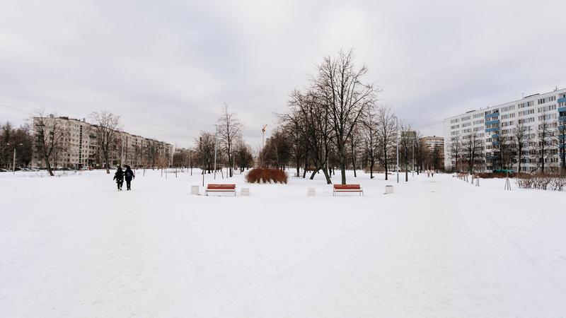 Фото: пресс-служба комитета по благоустройству