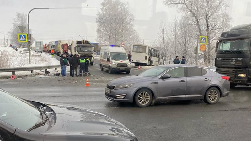 Фото: vk.com/spb_today/Анастасья Арсентьева