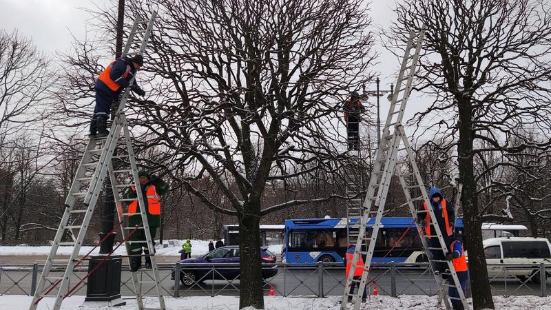 Фото: Комитет по благоустройству Петербурга