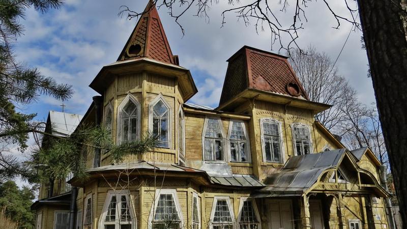 Дачи питер фото