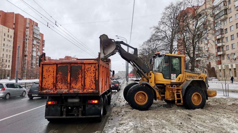 Фото: пресс-служба комитета по благоустройству Санкт-Петербурга