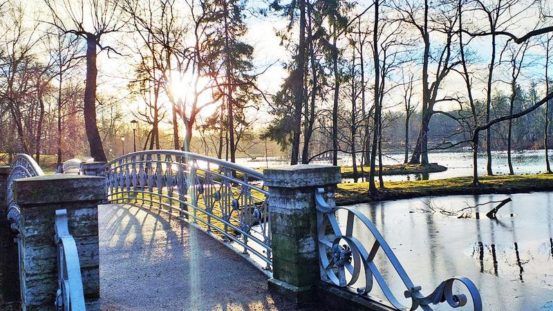 Просушка парков. Дворцовый парк Гатчина просушка. Апрель в Гатчинском парке. Таврический сад на просушке.