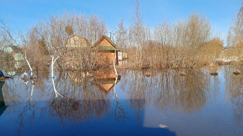 Фото: vk.com/podslushano_volhov