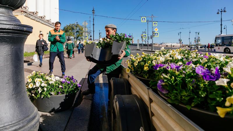 Фото: пресс-служба комитета по благоустройству Санкт-Петербурга