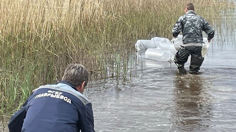 Фото: пресс-служба администрации Приозерского района Ленинградской области