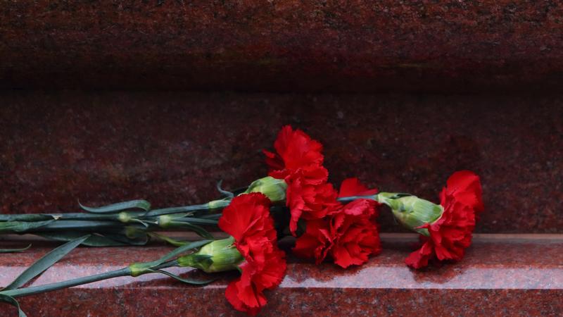 Соболезнование погибшим на украине. Соболезнования погибшему солдату на Украине. Гвоздики посмертно. Простились с погибшим Смирновым.