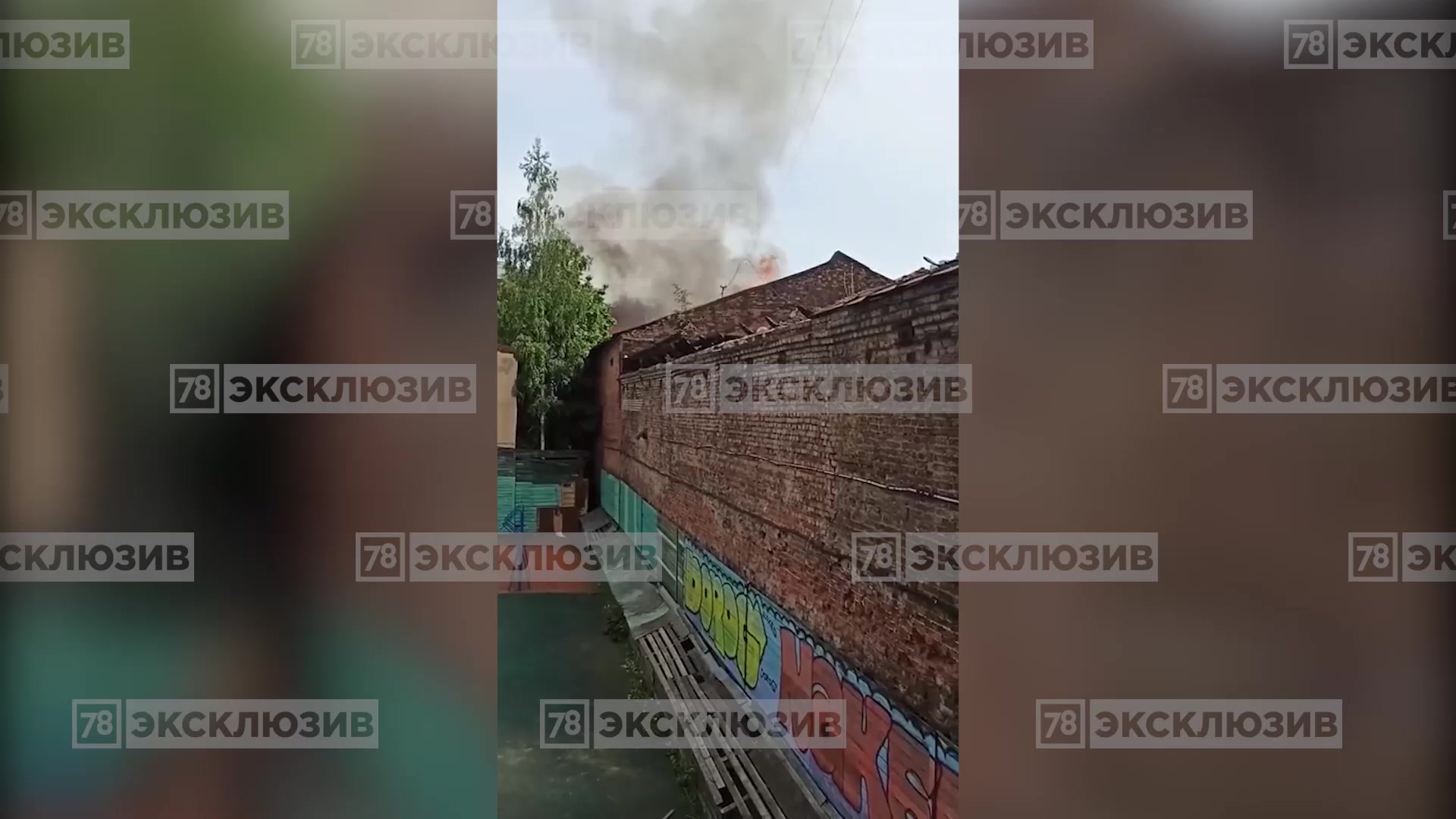 Дима пантюшин и саша липский дом с чердаком