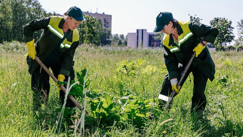 Фото: пресс-служба комитета по благоустройству Санкт-Петербурга