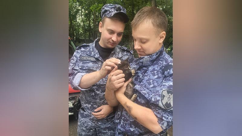  Фото: пресс-служба Вневедомственной охраны