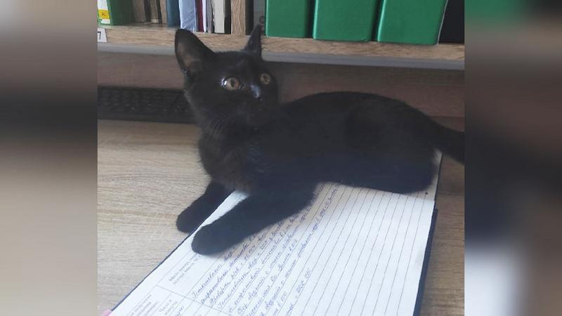 Фото: vk.com/Подслушано Янино