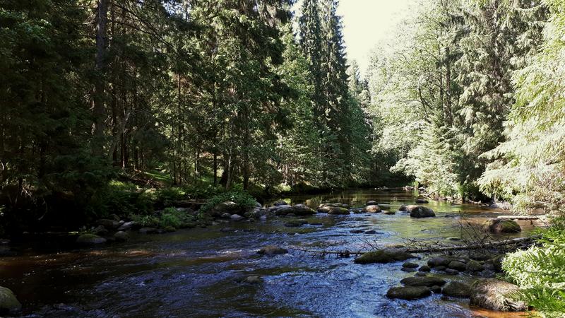 Фото: wikipedia.org