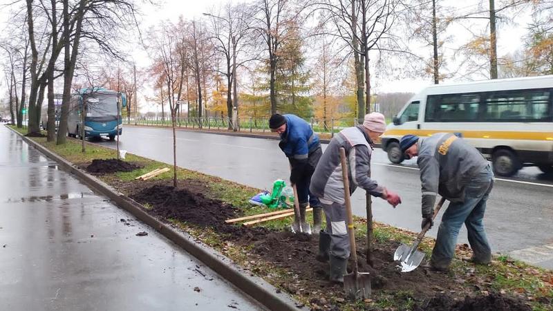 Фото: пресс-служба комитета по благоустройству Санкт-Петербурга