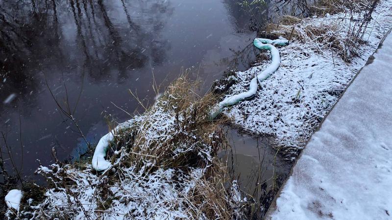 Река Охта в Мурино помутнела после сброса сточных вод