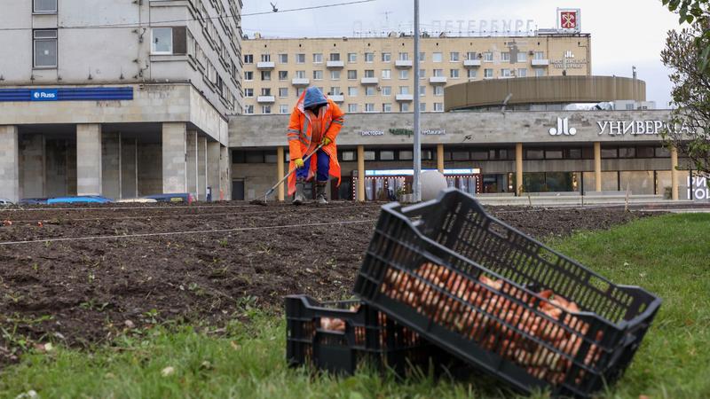 Фото: пресс-служба комитета по благоустройству Санкт‑Петербурга