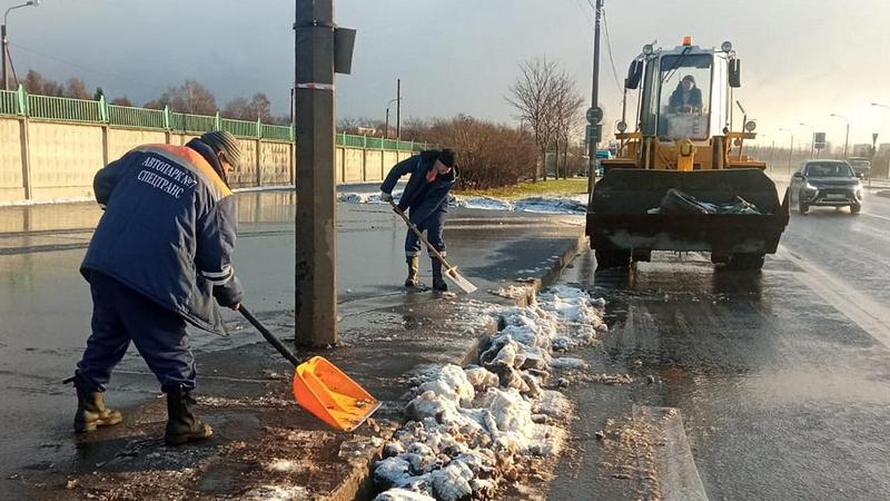 Фото: пресс-служба комитета по благоустройству Санкт-Петербурга