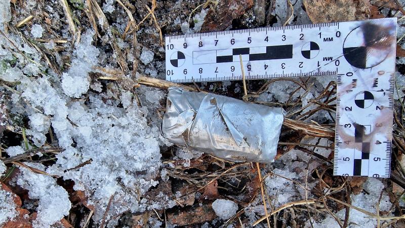 Фото: пресс-служба УТ МВД России по СЗФО 