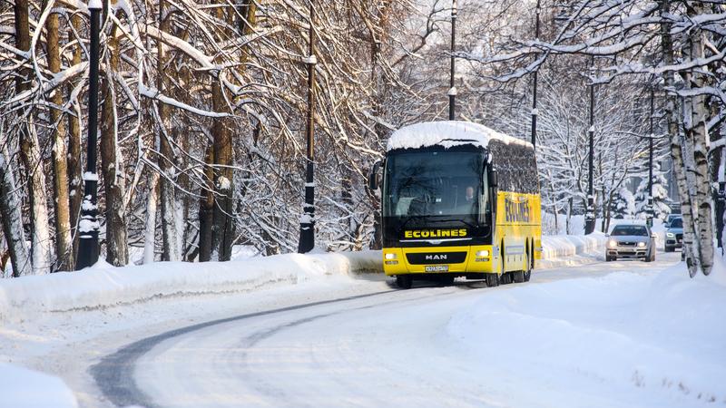 Автобус Эколайн Москва Рига