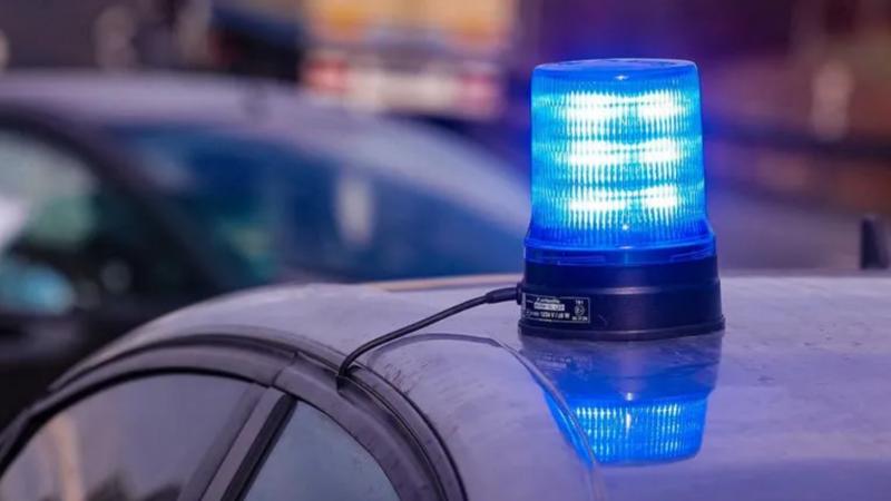 Фото: Tino Plunert/globallookpress.com