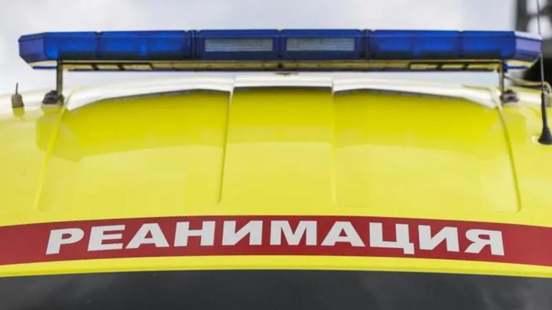 Фото: Bulkin Sergey/globallookpress.com