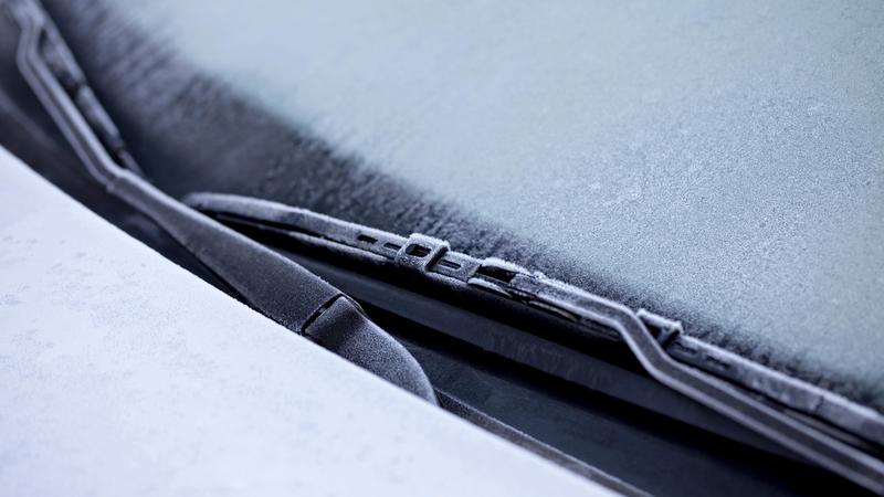 Фото: H.-D. Falkenstein/globallookpress.com