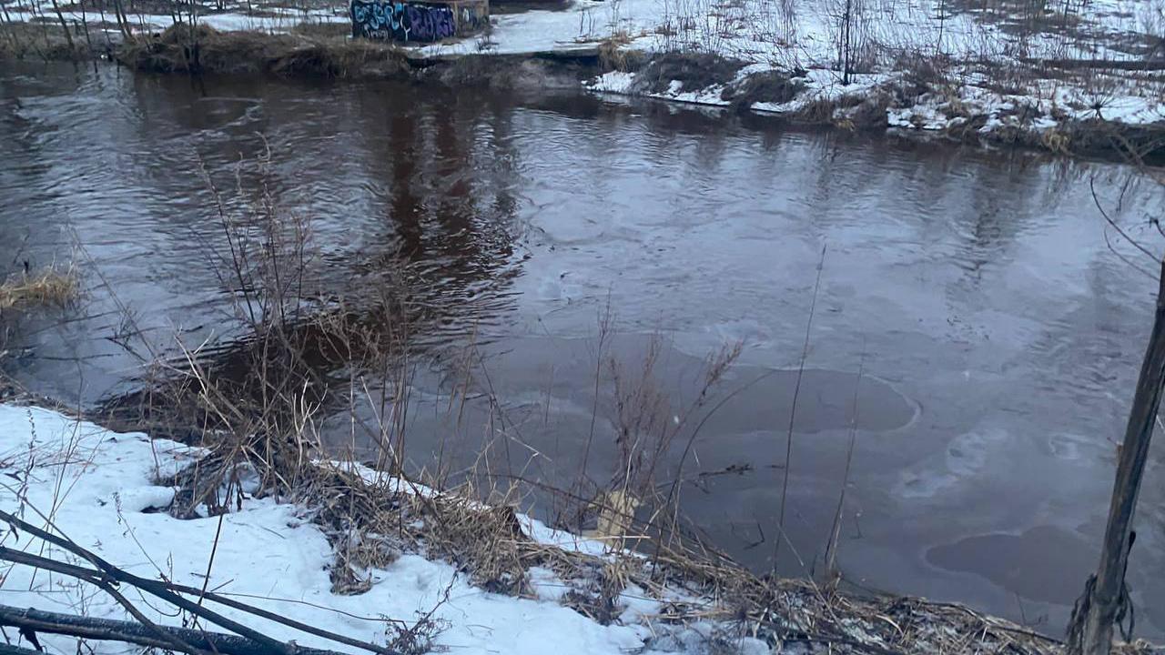 Река Охта в Мурино покрылась радужными разводами – видео