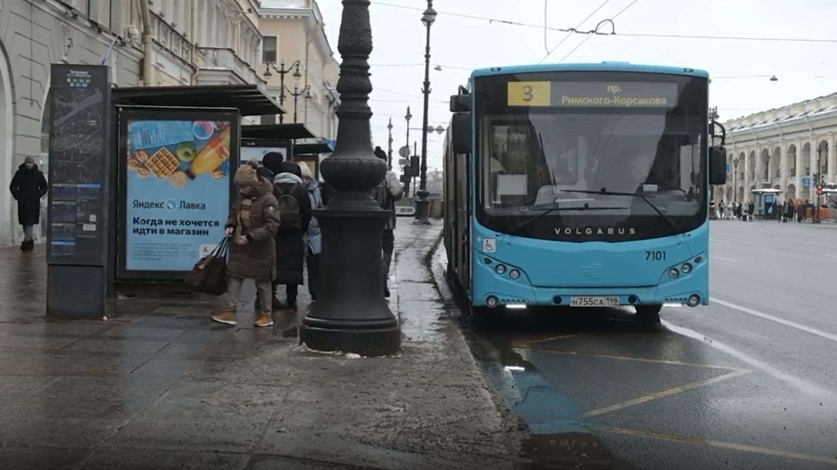 Когда 49 автобус. Волгабас автобус. Автобусная компания СПБ. Автобусы в Питере. Лазурный автобус СПБ.