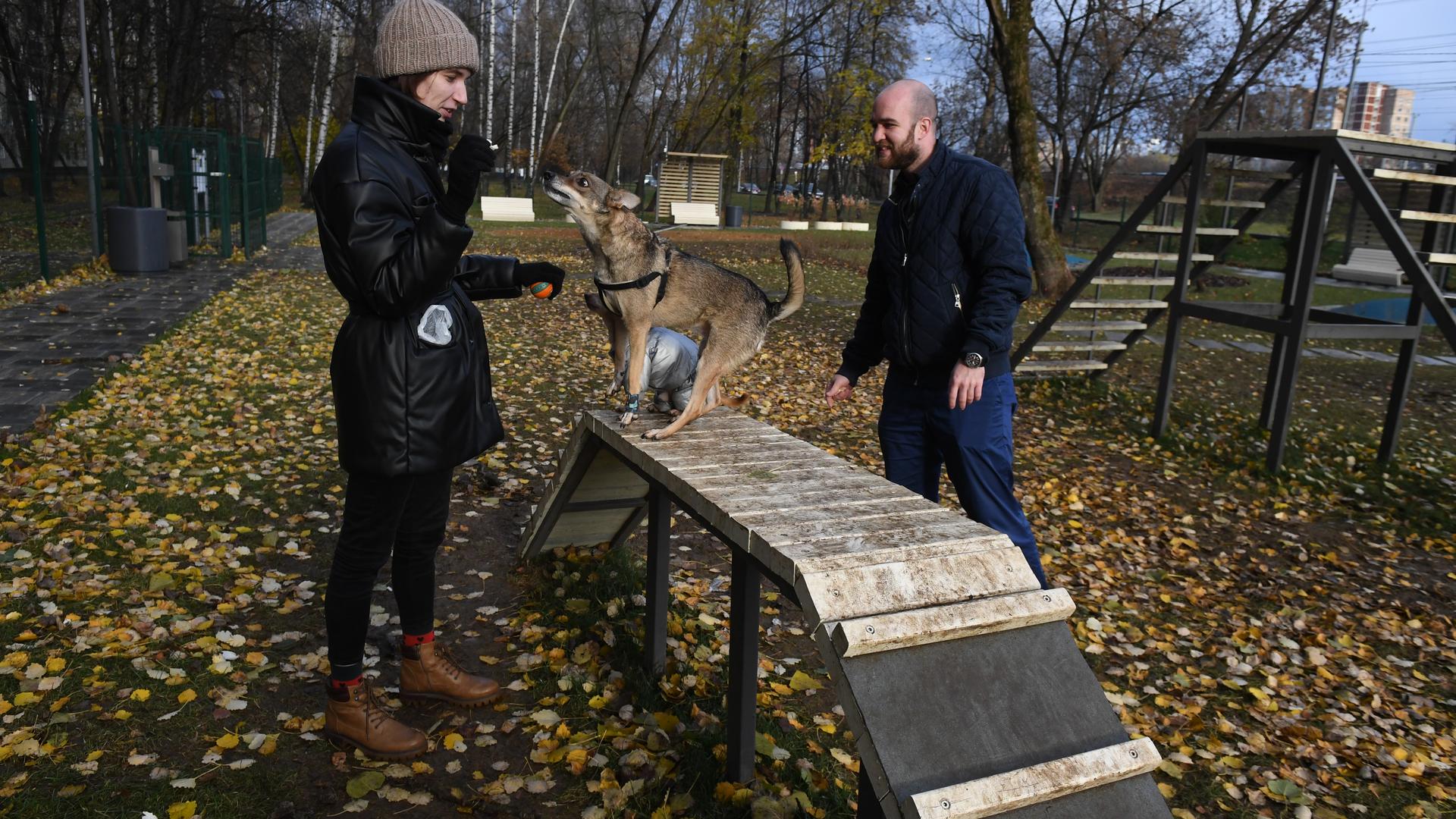 парк дога