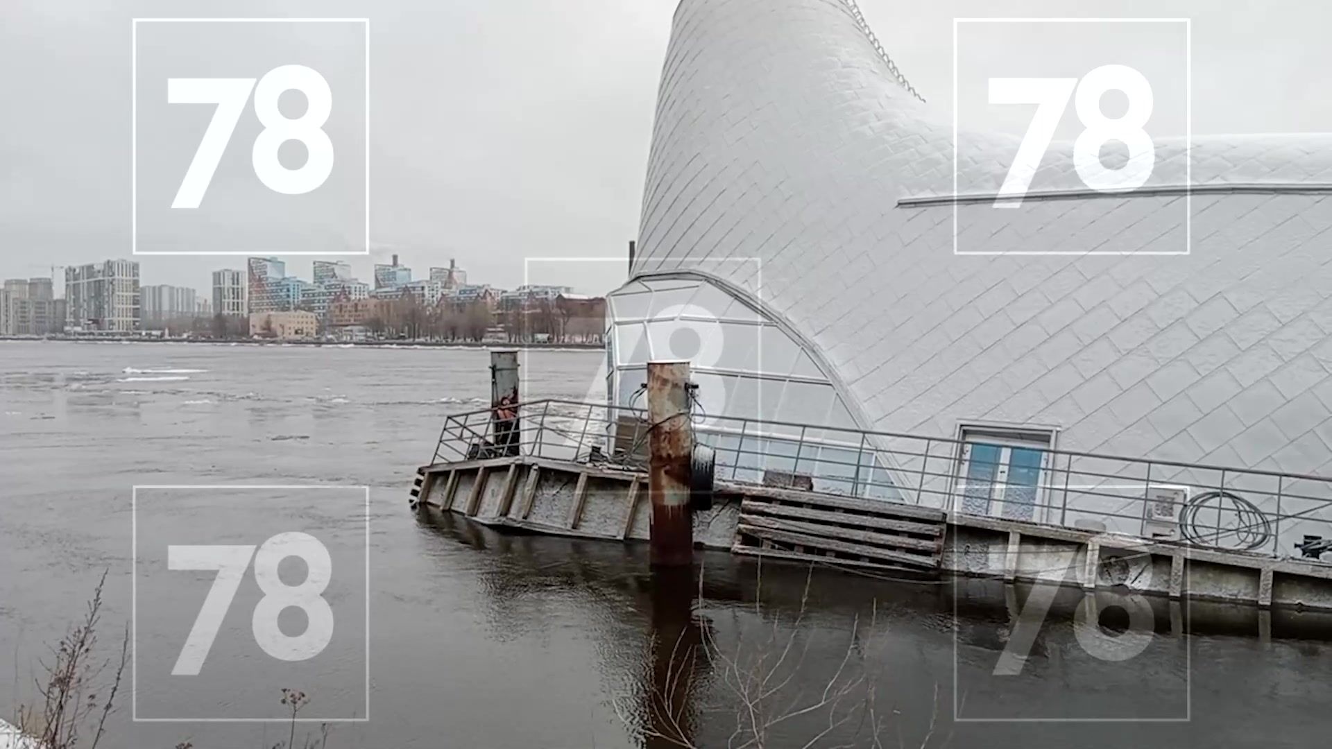 кит санкт петербург