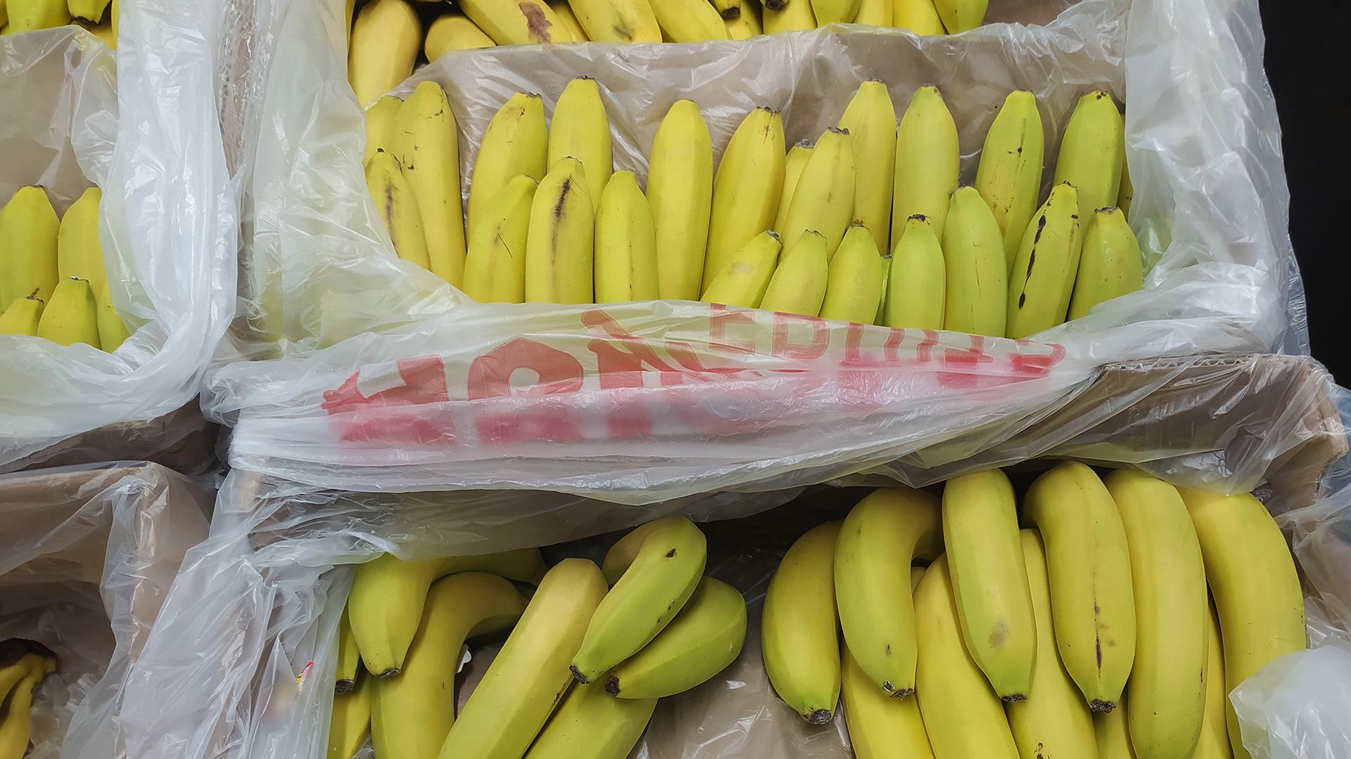 Сколько кг в ящике бананов. Ящик бананов. Эквадорские бананы. Основной поставщик бананов. Бананы в ящике.