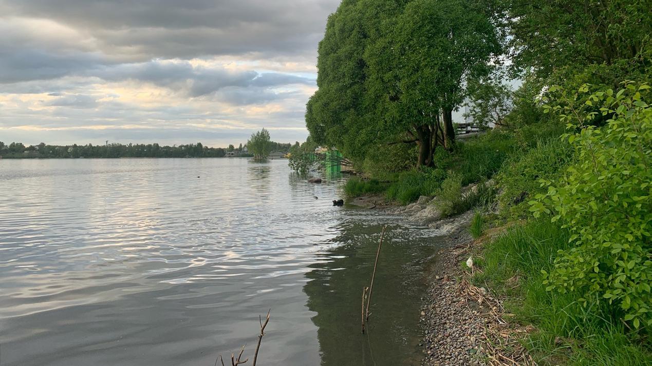 Жители города Отрадное Ленобласти жалуются на проблемы с водой