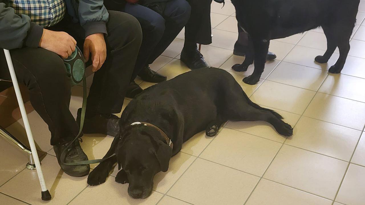 Петербургский суд разрешил поводырю Урсу ездить в метро без намордника