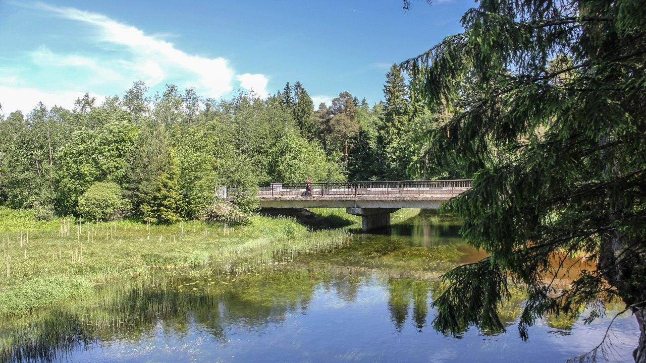 Секс на природе или романтика летних ночей