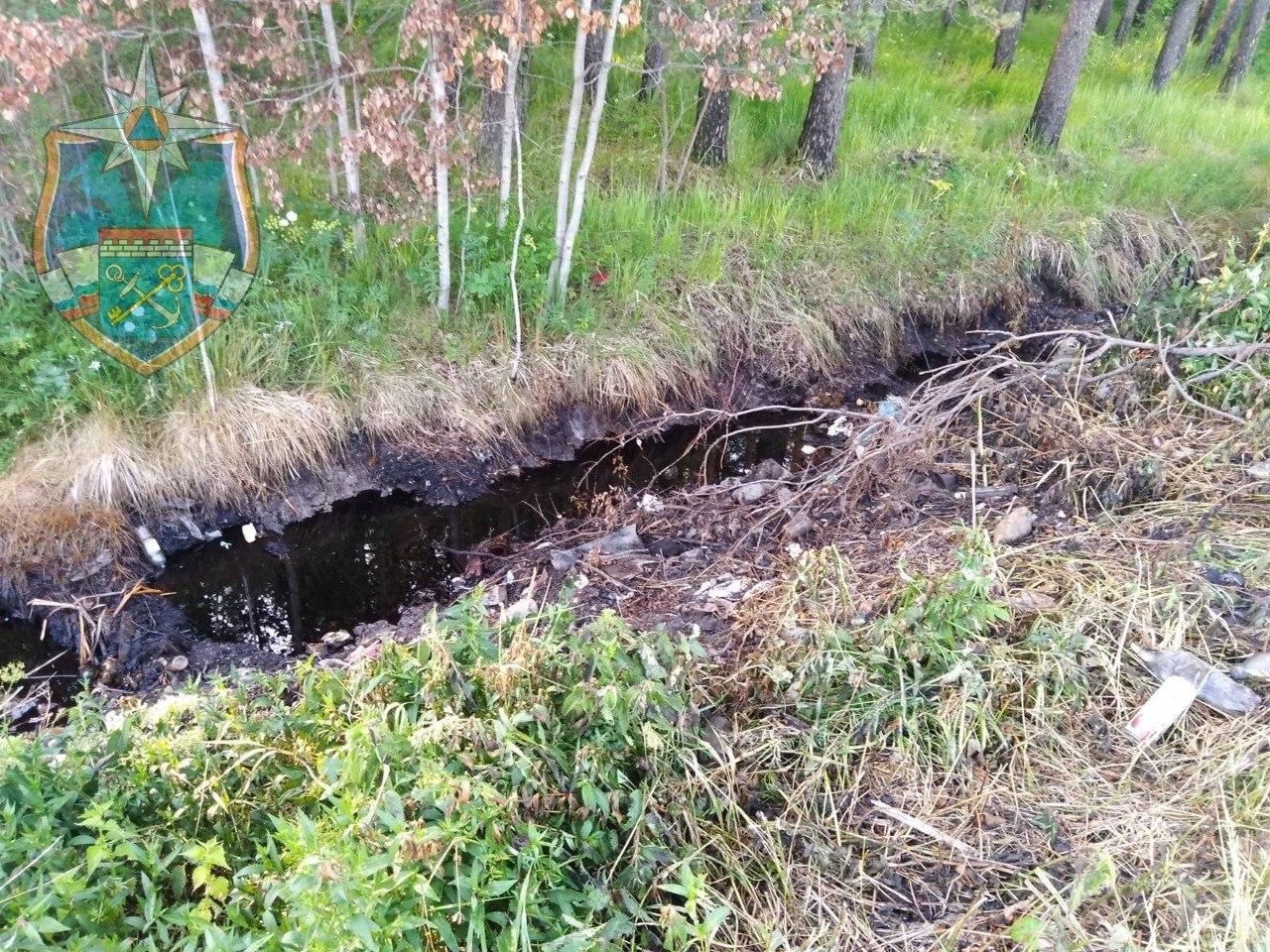 Фото: Аварийно спасательная служба Ло