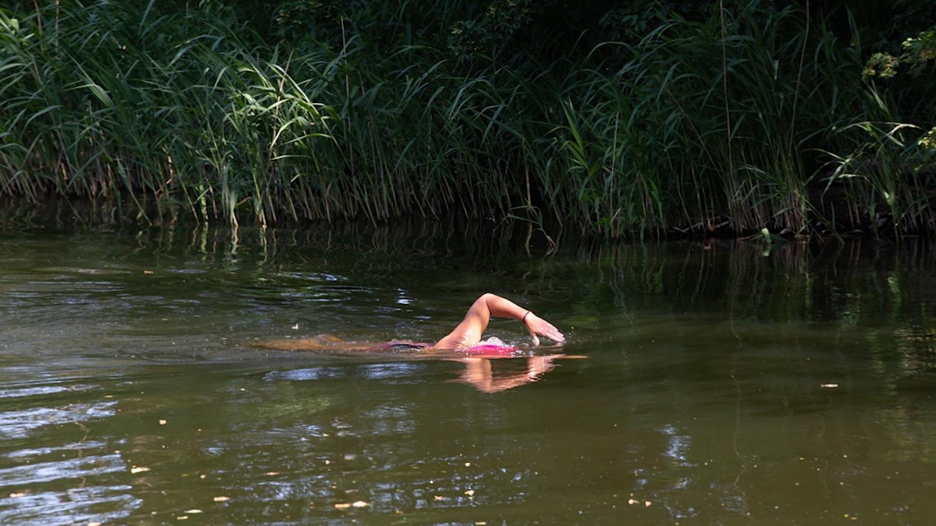 Петербуржцам рассказали, чем опасно купание в грязных водоёмах