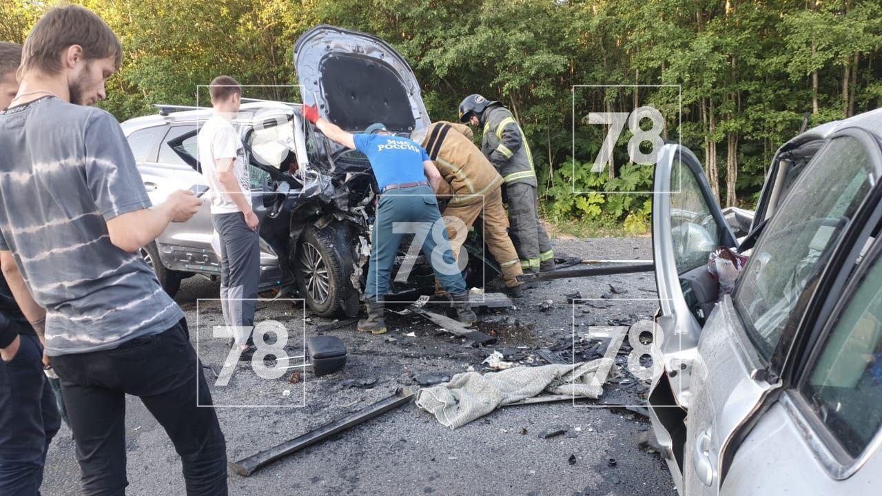 У водителя одной из машин, попавшей в смертельное ДТП в Ленобласти, не было  документов