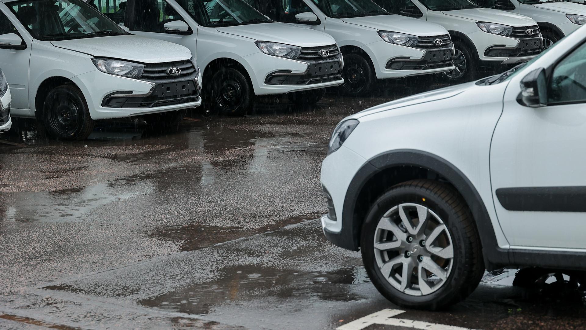 Фото: Petrov Sergey/globallookpress.com